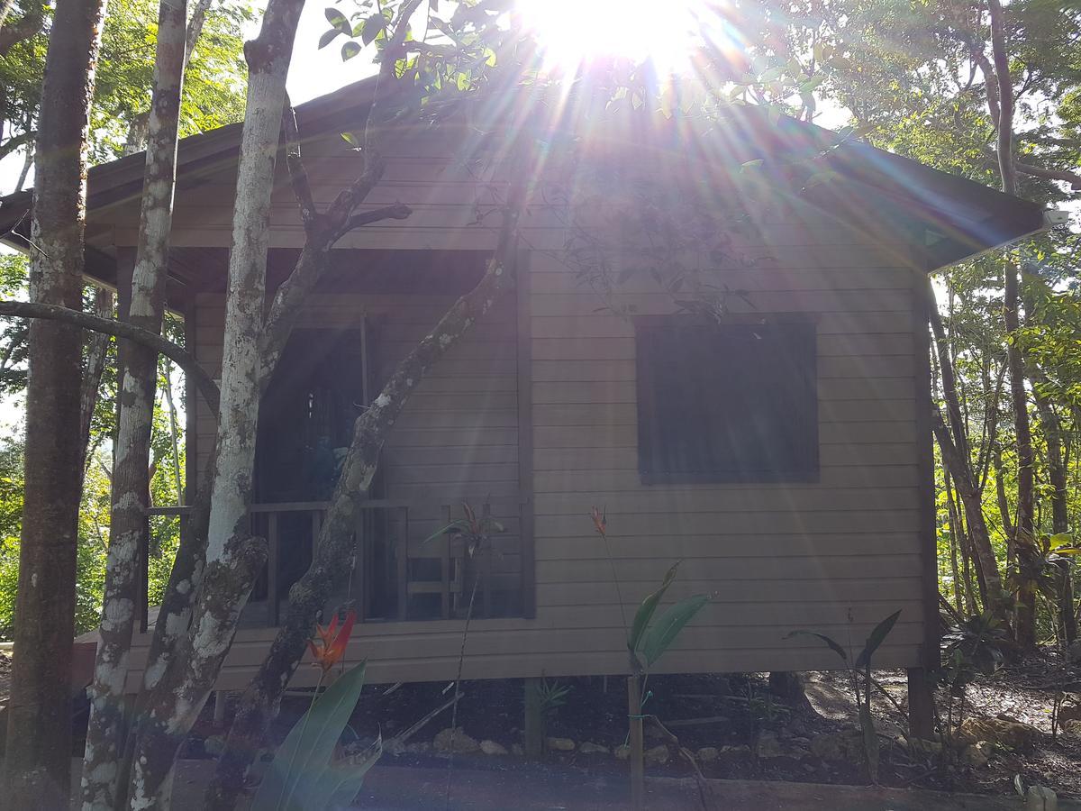 Hidden Haven Hostel Unitedville Ngoại thất bức ảnh