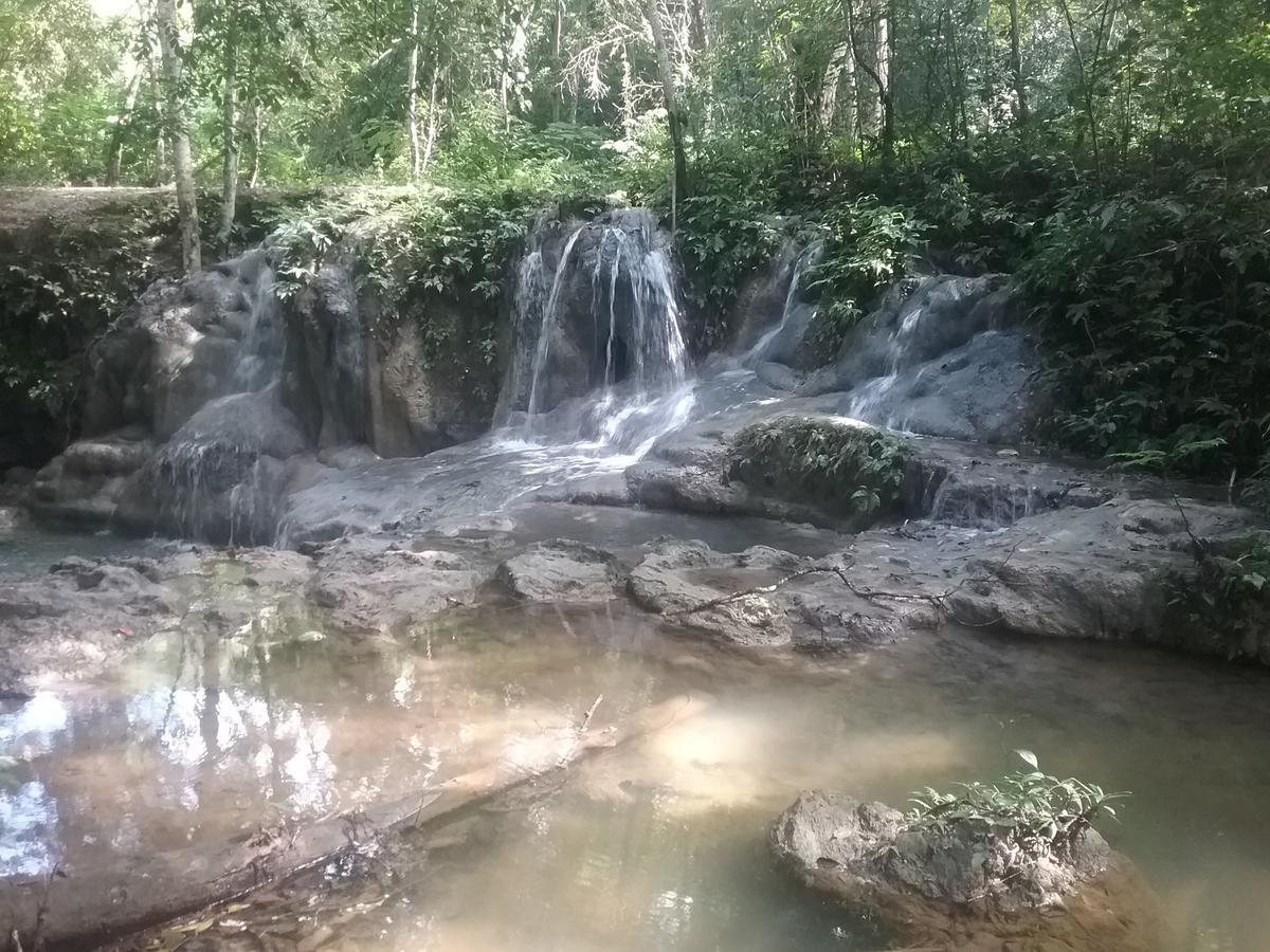 Hidden Haven Hostel Unitedville Ngoại thất bức ảnh