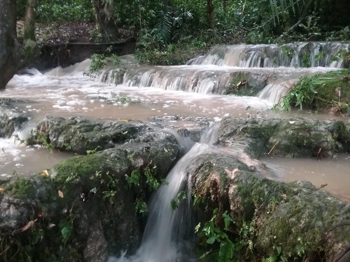 Hidden Haven Hostel Unitedville Ngoại thất bức ảnh