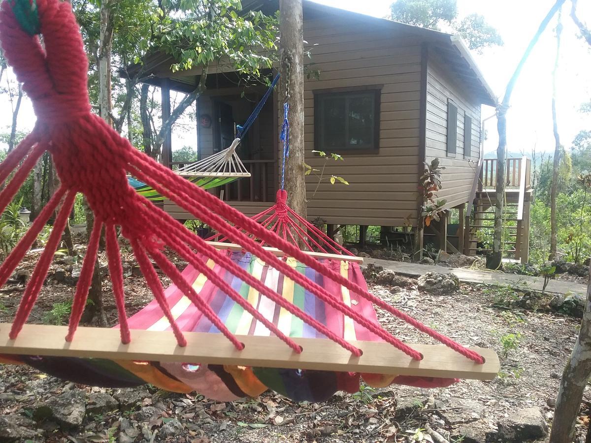 Hidden Haven Hostel Unitedville Ngoại thất bức ảnh