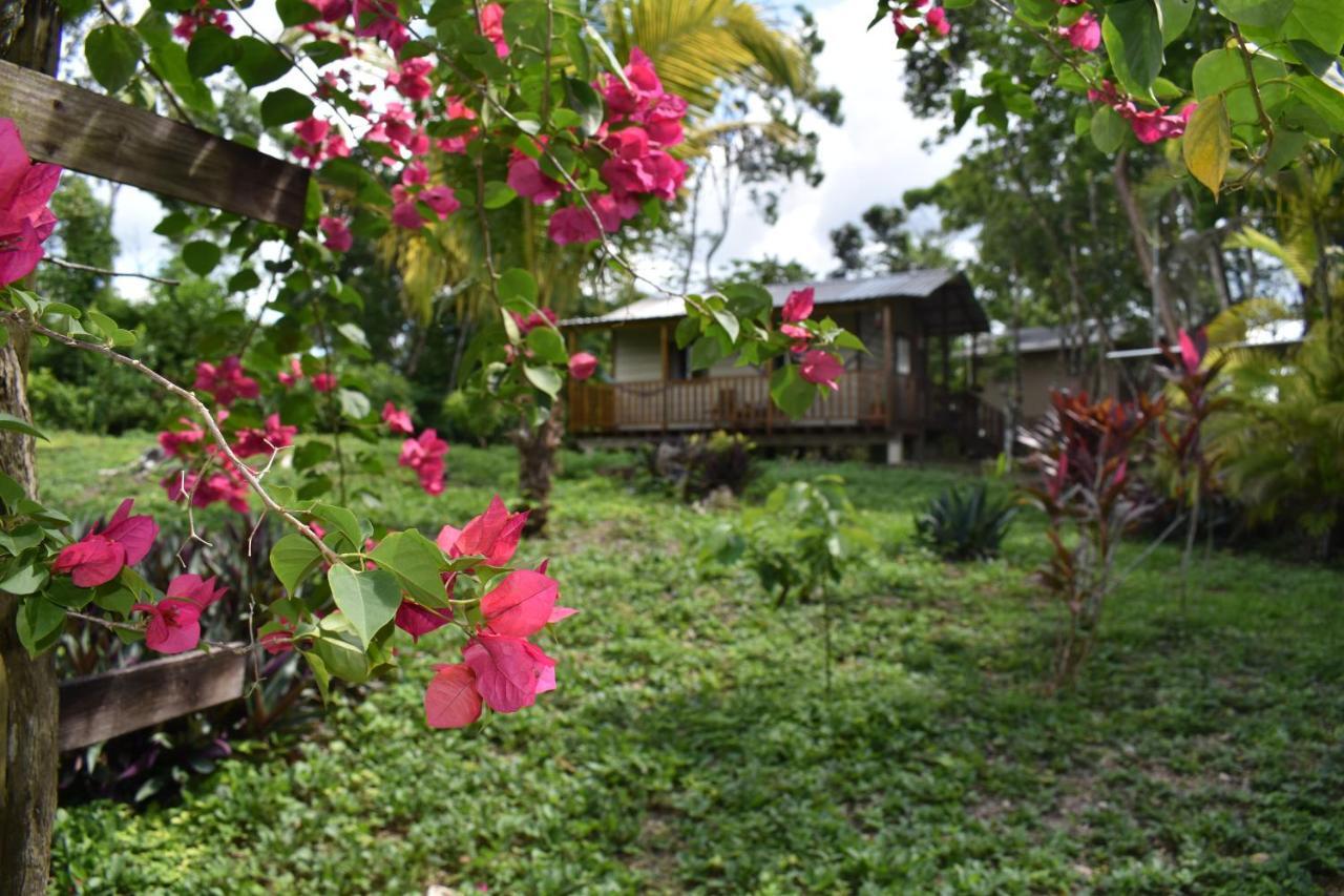 Hidden Haven Hostel Unitedville Ngoại thất bức ảnh